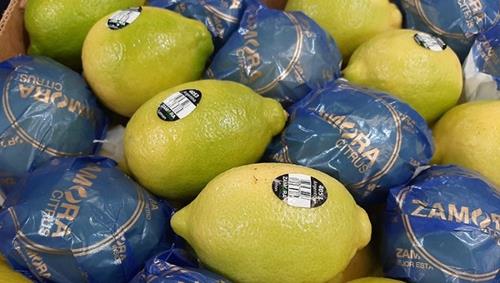 Zamora Citrus envía 650 toneladas de limones al mercado chino